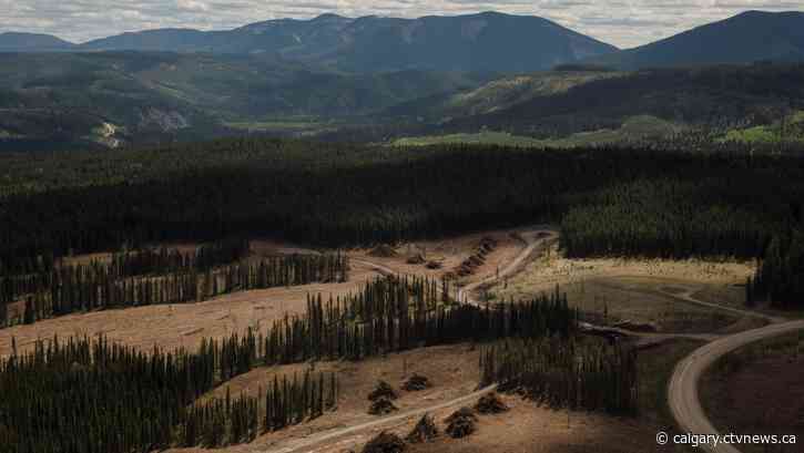 Alberta to appeal ruling ordering release of documents on coal mining in Rockies