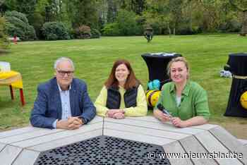 Bijenbank ‘Zitbij’ vormt nieuwe bijzondere trekpleister in gemeentepark: “Ideale plek om gezellig te picknicken”