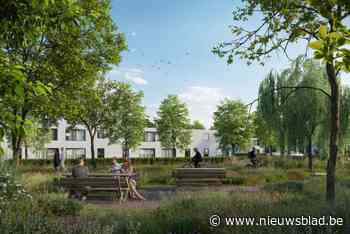 Nieuwe woonzone langs Nieuwe Steenweg in Wolske wordt aangesneden: “Op termijn 200 woningen”