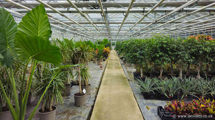 Inside the Royal Parks nursery: From organic innovations to scented surprises
