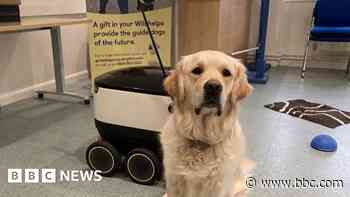 Guide dogs taught to deal with delivery robots