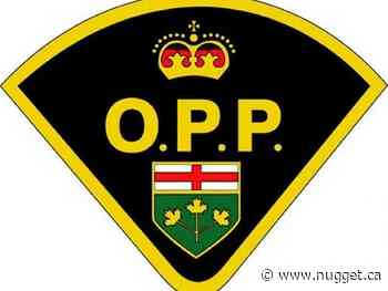 One person charged after assaulting police say West Nipissing OPP