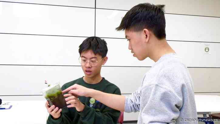 Teen brothers teach Alberta students about microbial fuel cell technology