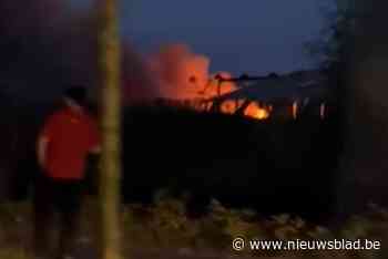 Uitslaande industriebrand bij recyclagecentrum in Brecht: “Brand is onder controle”