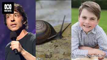 Weekly news quiz: A breastfeeding row, a celebrity snail, plus Prince Louis's birthday