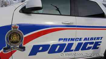 Sask. woman bit by police dog after opening police vehicle door