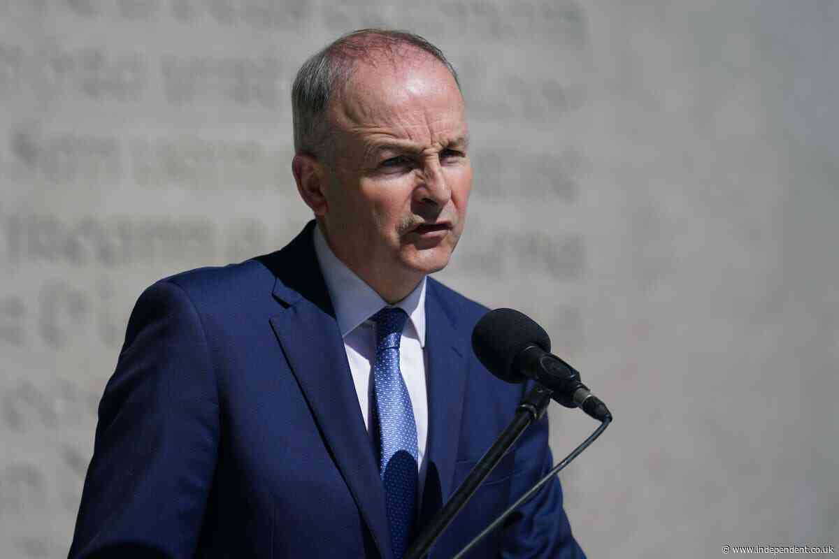 Rwanda bill criticised by Irish foreign minister as ‘fearful’ migrants cross border