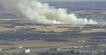 Crews battle large grass fire between southeast Edmonton and Beaumont