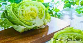 How to keep lettuce fresh for a whole week longer with savvy five minute storage hack