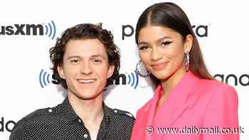Zendaya and boyfriend Tom Holland have 'discussed marriage'... eight years after meeting on Spider-Man set
