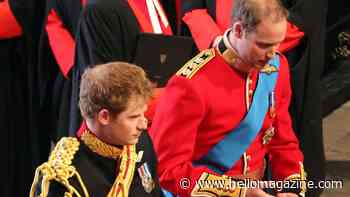 Palace feared Prince William and groomsman Prince Harry would 'pass out' at royal wedding