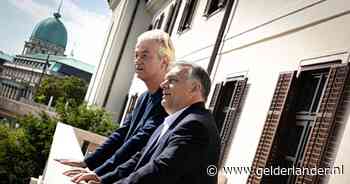 Wilders en Orbàn: verenigd in afkeer tegen immigratie en links, maar ook wat verdeeld over woke-thema's