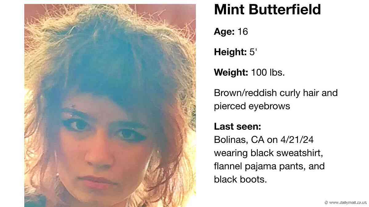 Mint Butterfield disappearance: Billionaire non-binary heiress, 16, previously threatened suicide, cops say, as hunt for teen continues