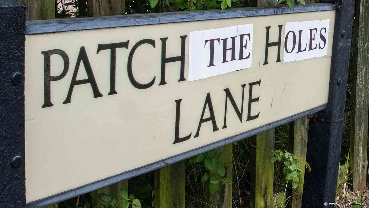 Welcome to pothole lane: Fed-up motorist resorts to changing street name of his pothole plagued road in the dead of night - in hope it will HUMILIATE council into fixing 2ft-wide craters