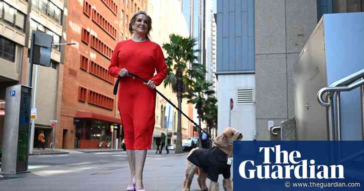 Channel Nine ordered to pay damages over reporting of cavoodle custody battle