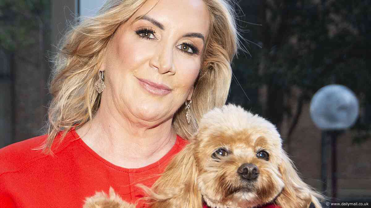 Channel Nine ordered to pay high-profile barrister $150,000 for its 'sensationalist' reporting of a custody battle over Insta-famous Oscar the Cavoodle