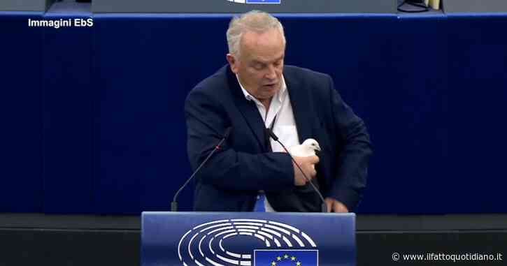 Eurodeputato estrae dalla tasca una colomba e la libera nell’Aula del Parlamento europeo come “messaggio di pace”: “È il mio ultimo intervento”