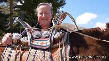 Lord Cameron poses up a storm as his whistlestop tour of central Asia reaches Mongolia