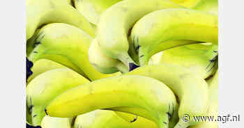 Peruaanse bananenexport -15%