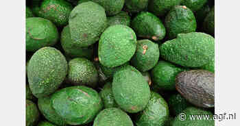 Peruaanse avocado-export +35%