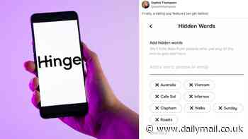 'Finally, a dating app feature I can get behind!' Singletons love Hinge's huge update which lets them automatically filter out time-wasters and creeps