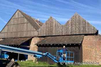 Vrijwilligers wijkraad Noeveren renoveren daken van klampovens ’t Geleeg