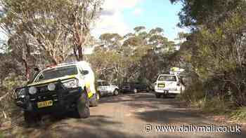 Blue Mountains National Park: Hiker dies after falling off a cliff in the Blue Mountains