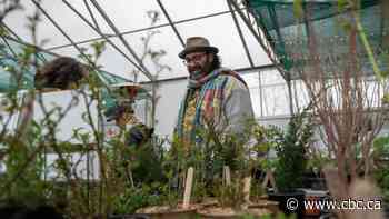 Toronto Native Plant Market helps gardeners boost local biodiversity