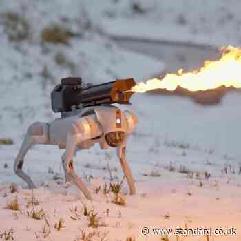 World's first ever flamethrower-wielding robot dog hits the market