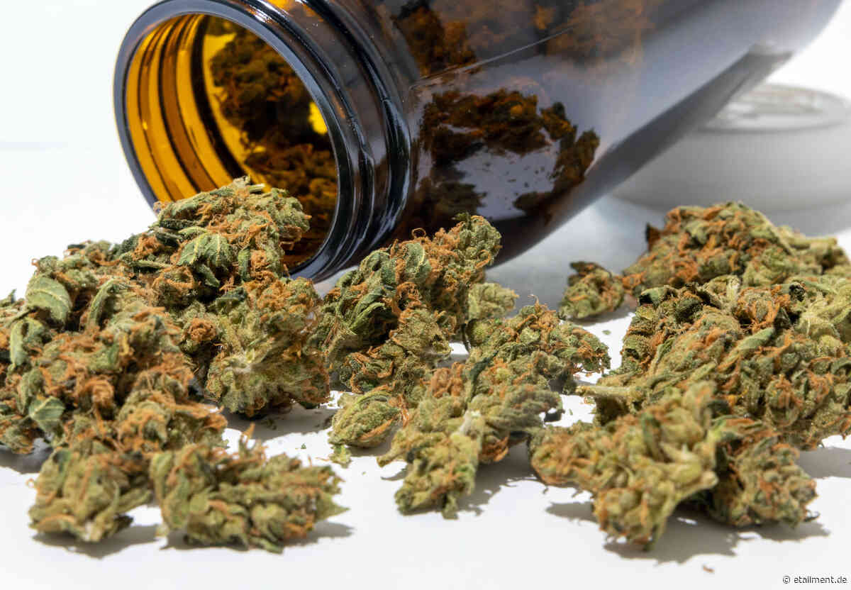 Legalisierung: Versandapotheken sind gerade die Cannabis-Gewinner