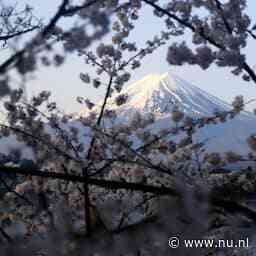 Japans stadje weert toeristen met groot scherm dat uitzicht op Fuji blokkeert