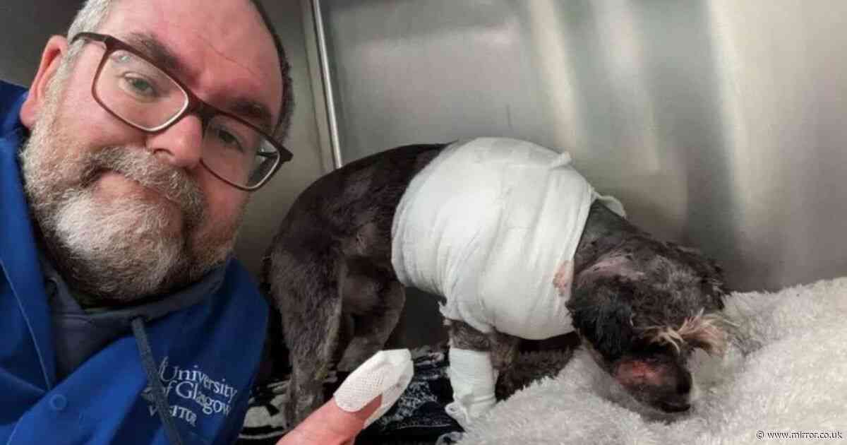 Dog owner suffers fractured thumb after vicious mauling that left him fearing pet would die in arms