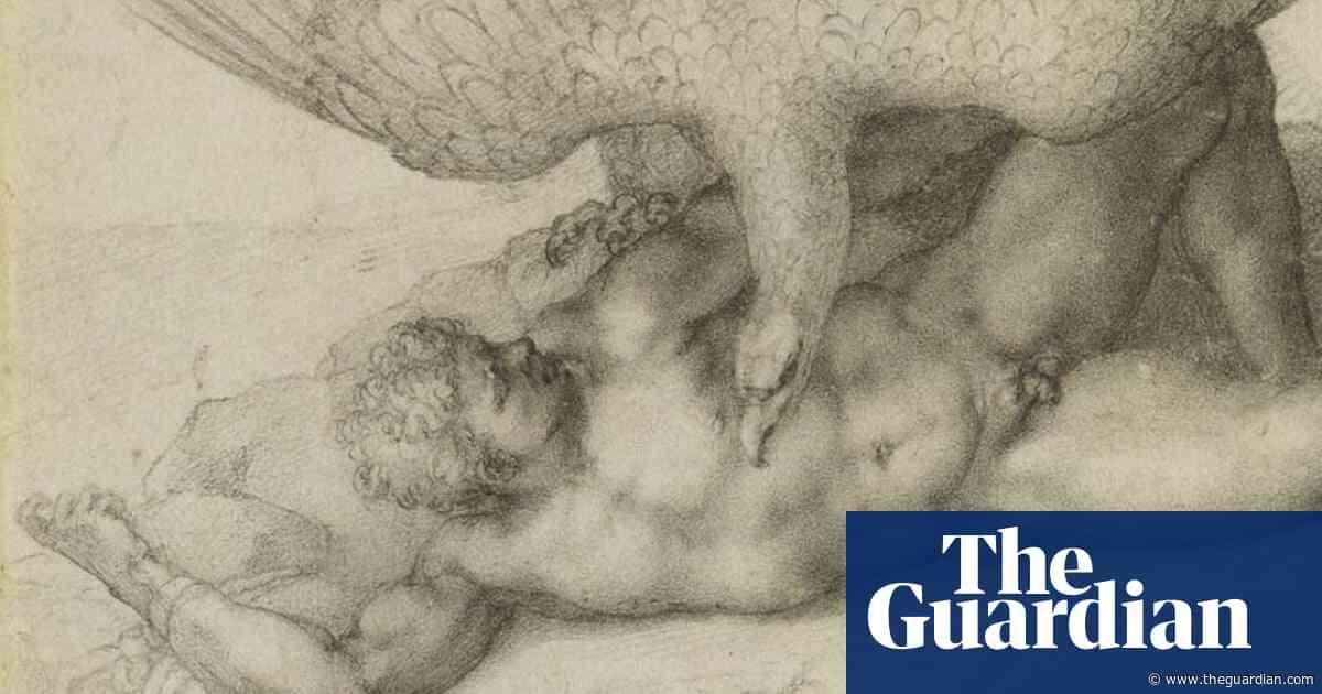Hairy paint, boozy sculpture and Michelangelo’s final years – the week in art