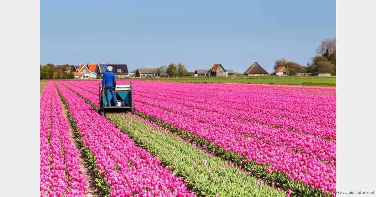 Nederlanders tevreden over eigen leven, maar bezorgd over Nederland