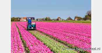Nederlanders tevreden over eigen leven, maar bezorgd over Nederland