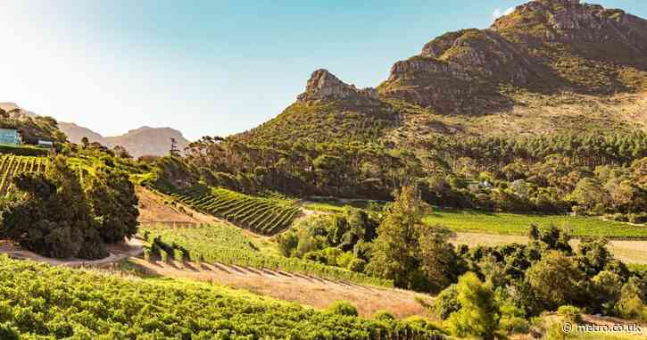 The world-famous wine region that sells cheap plonk for under £4