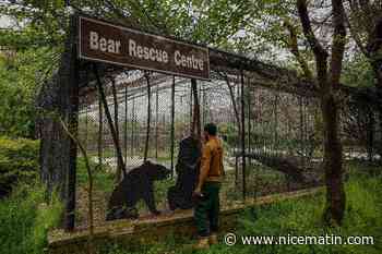 "Cet endroit a radicalement changé d'ambiance": L'ancien zoo d'Islamabad désormais au service des animaux maltraités