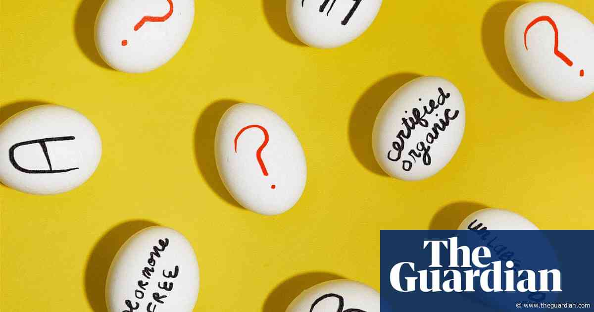 Egg labels, egg-splained: from cage-free to free-range, how to eat ethically and economically