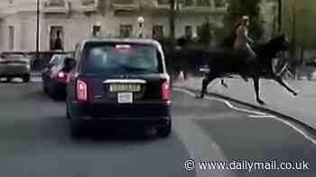 Moment runaway Cavalry horses crash through parked e-bikes after 'being startled by building work' and going on a blind-panic bolt through London - with one falling to the ground while a horseman jumps over a car