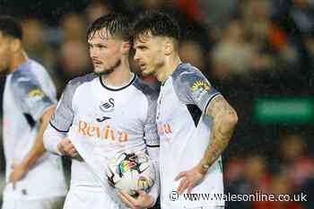 'Mad as a box of frogs' - Luke Williams' verdict on out-of-contract Swansea City stars' futures