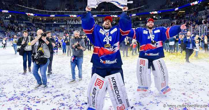 Ex-Nationaltorwart Endras beendet Eishockey-Karriere