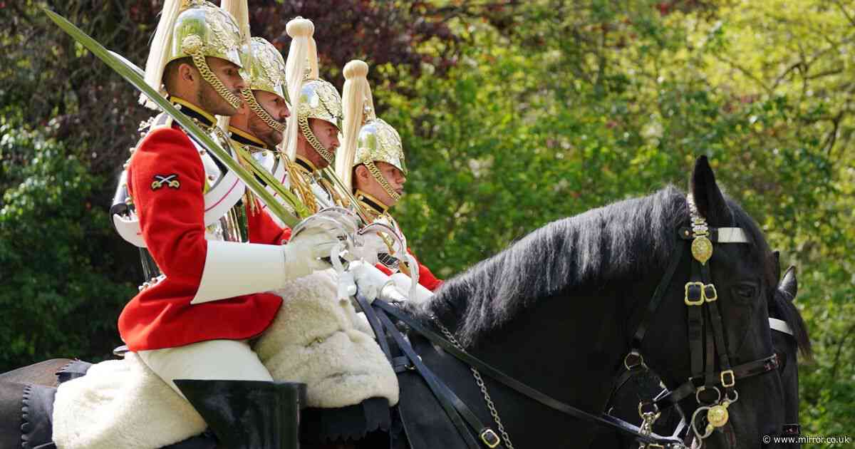 Household Cavalry horses 'shouted at, fed dirty water and given hour of exercise', claims whistleblower