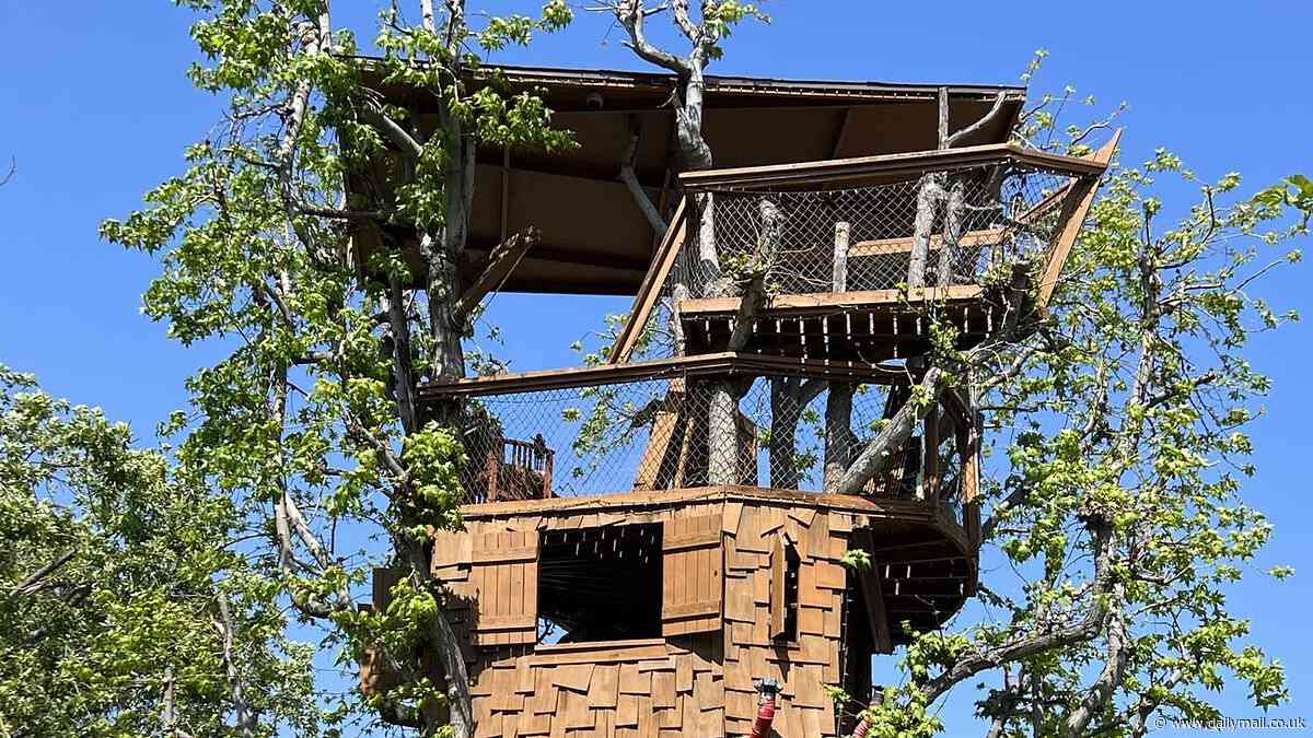 'The Simpsons' animator will be forced to take down his huge three-story treehouse called 'Boney Island' that he built 20 YEARS AGO - after flurry of complaints from new neighbors