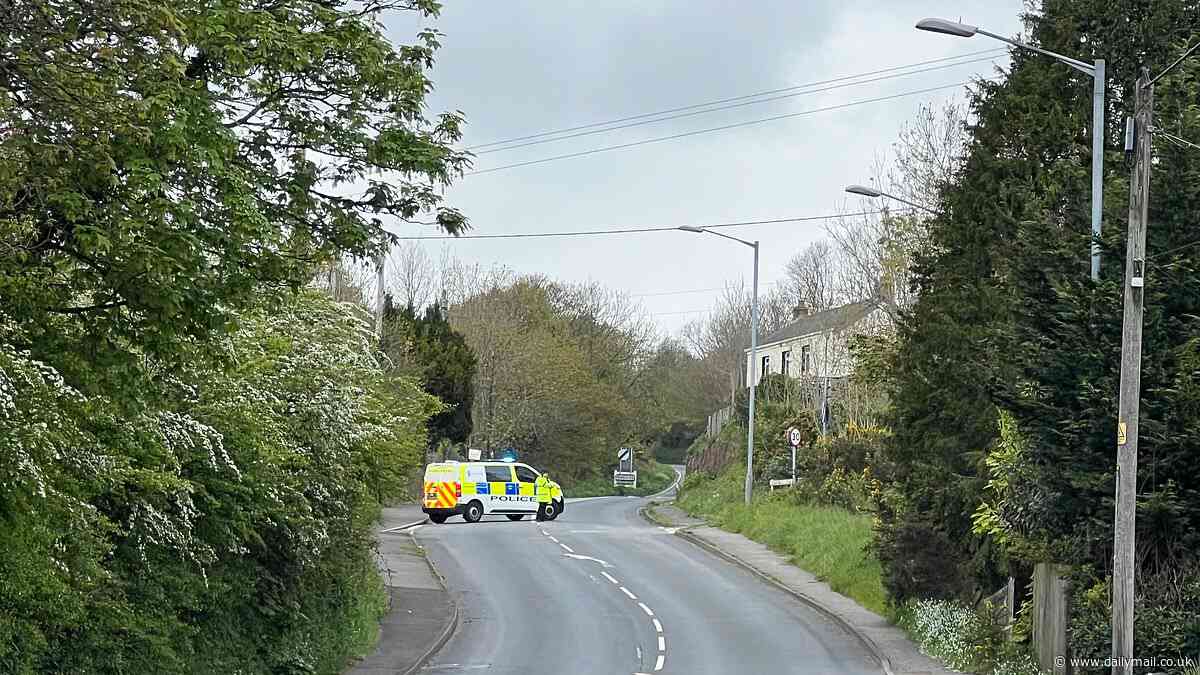 Five-year-old boy is killed when he is hit by Ford Fiesta in crash that closed road for eight hours