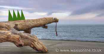 A huge object washed up on a Welsh beach and has become a local celebrity