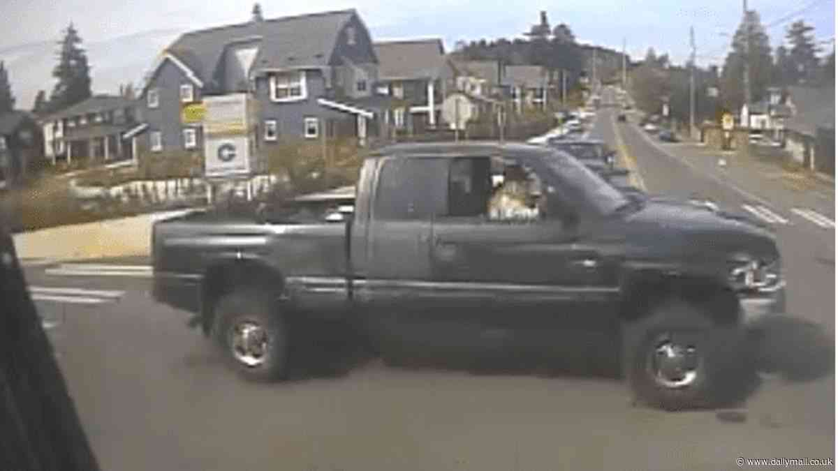 Horrifying moment woman is forced into a pickup truck and abducted in Seattle - as cops launch urgent search