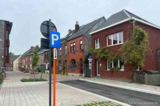 Gemeenteraadslid vreest voor toekomstige parkeerproblemen in Moreelstraat: “Bewonerskaarten lossen het probleem niet op”