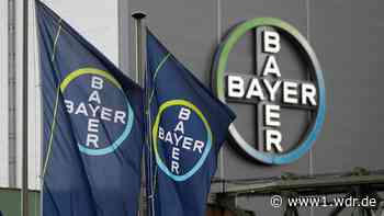 Bayer Hauptversammlung - wieder Protest in Leverkusen