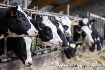 USDA orders mandatory bird flu testing for dairy cows