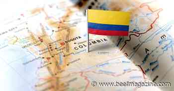Colombia puts restrictions on U.S. beef due to H5N1 in dairy cattle